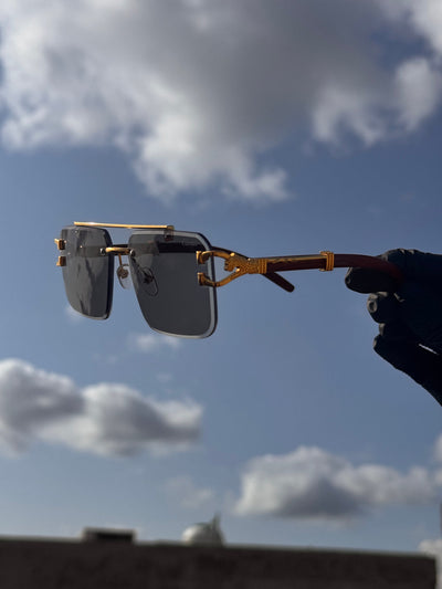 Solar Cheetah Unisex Glasses